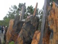 /album/arouca/sam-0172-jpg/