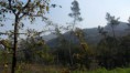 /album/ger%c3%aas/sam-8367-jpg/