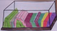 /album/maquete/sam-1811-jpg/